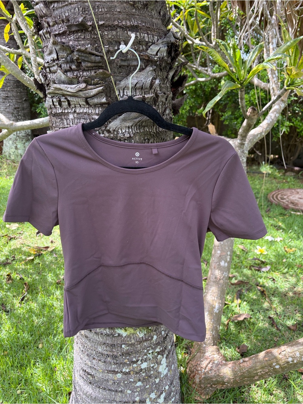 Short Sleeve Crop Top in chocolate brown